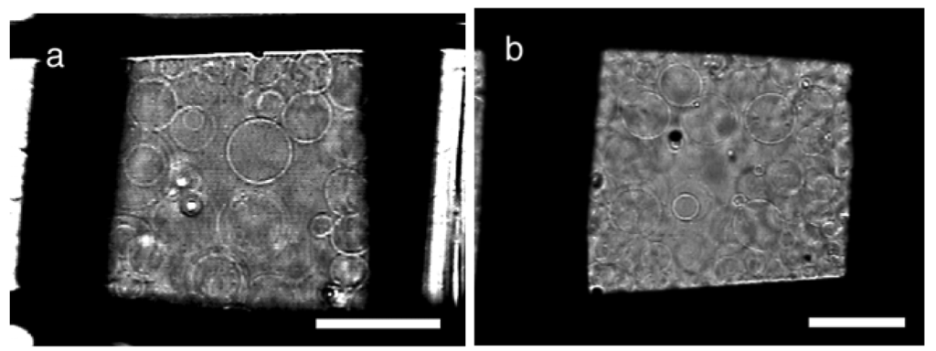 Membranes 01 00184f5 1024