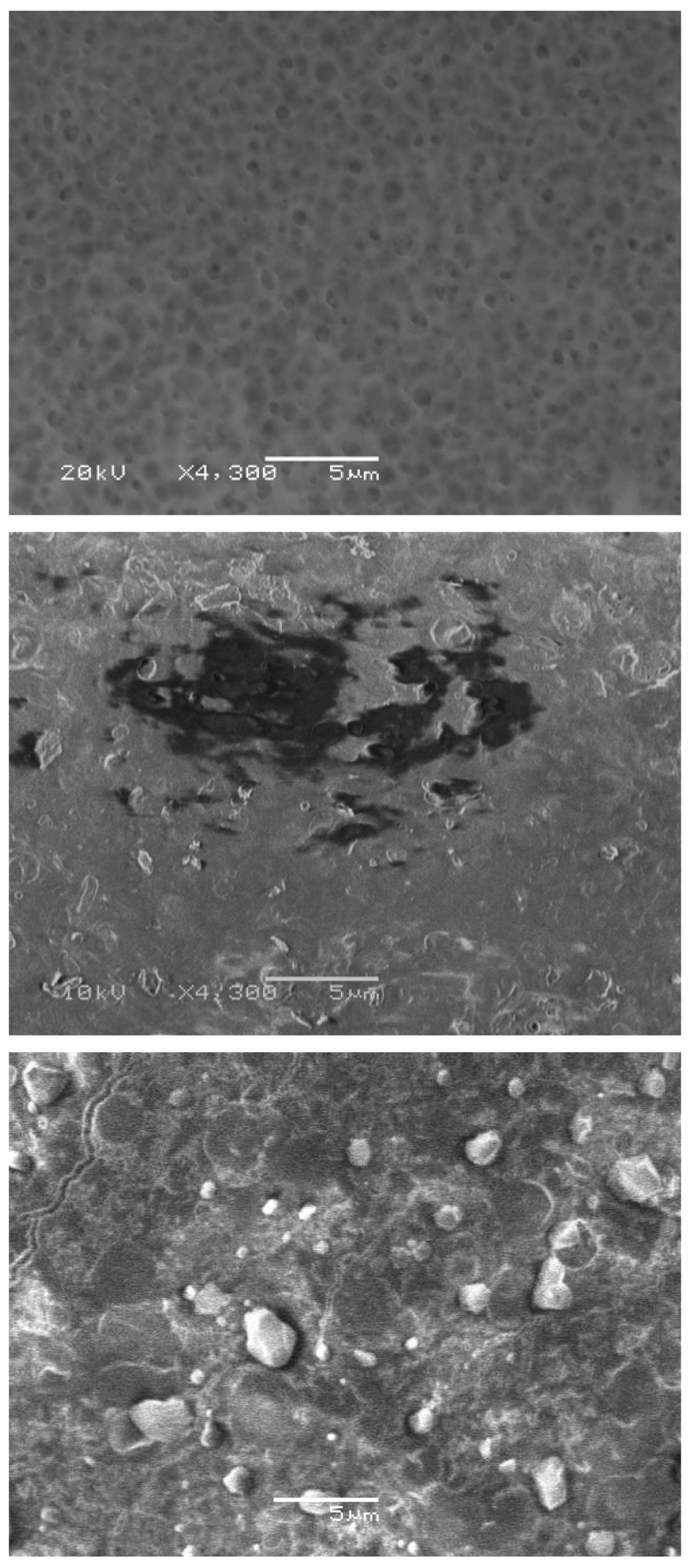 Membranes 01 00195f7 1024