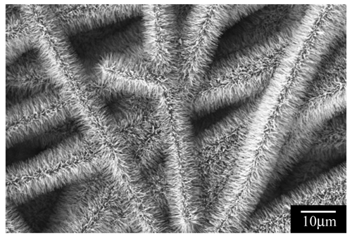 Membranes 01 00249f4 1024