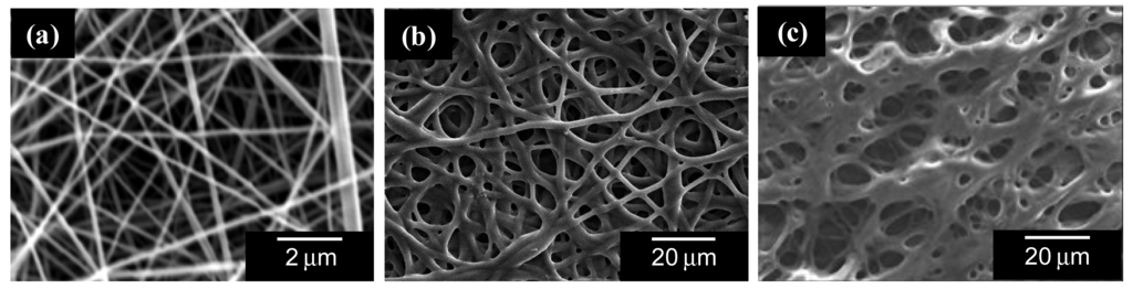 Membranes 01 00249f6 1024