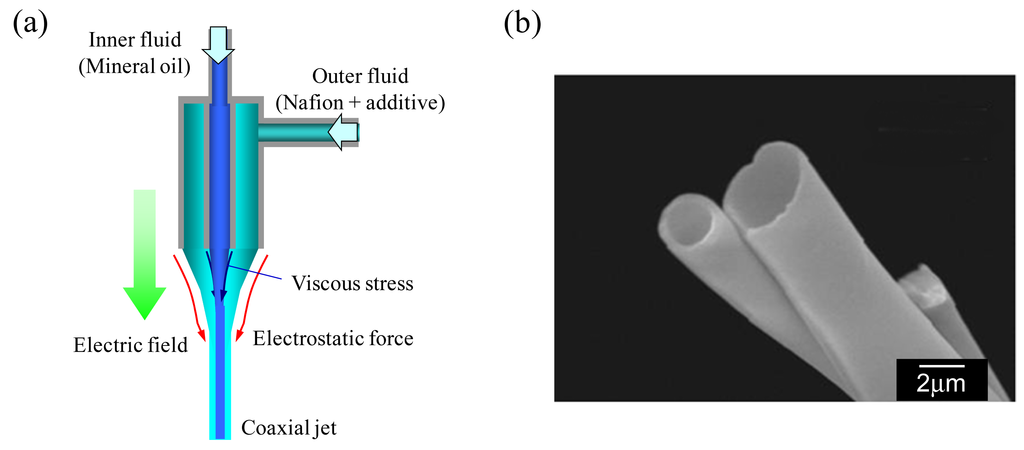 Membranes 01 00249f7 1024