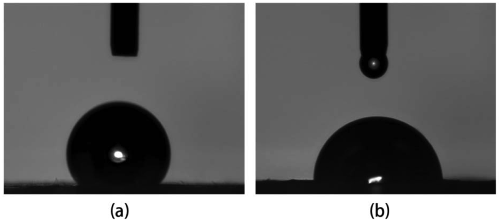 Membranes 01 00275f4 1024