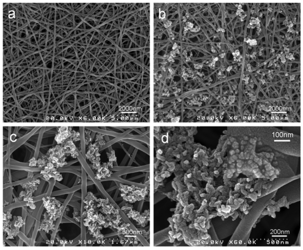Membranes 01 00275f7 1024