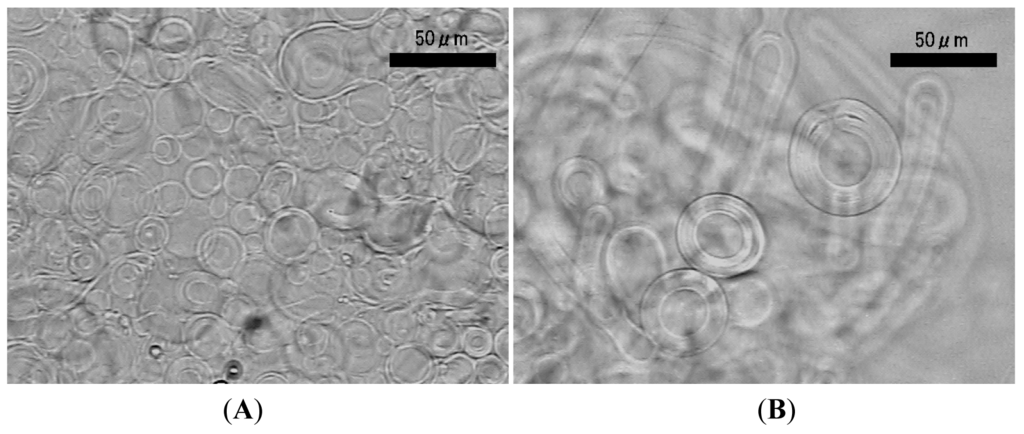 Membranes 01 00345f5 1024