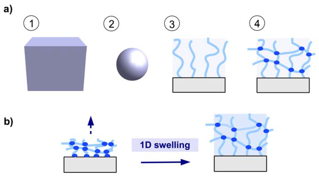 Membranes 02 00040 g001 1024