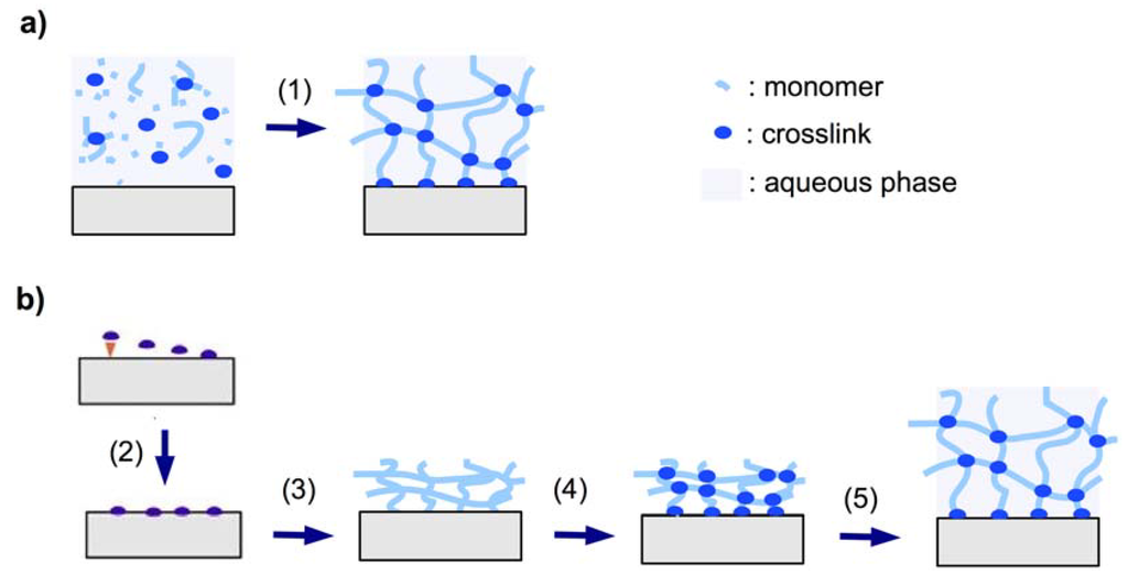 Membranes 02 00040 g002 1024