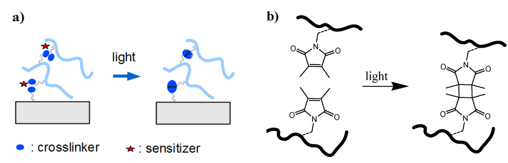 Membranes 02 00040 g003 1024