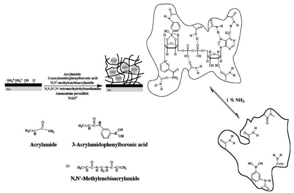 Membranes 02 00040 g006 1024
