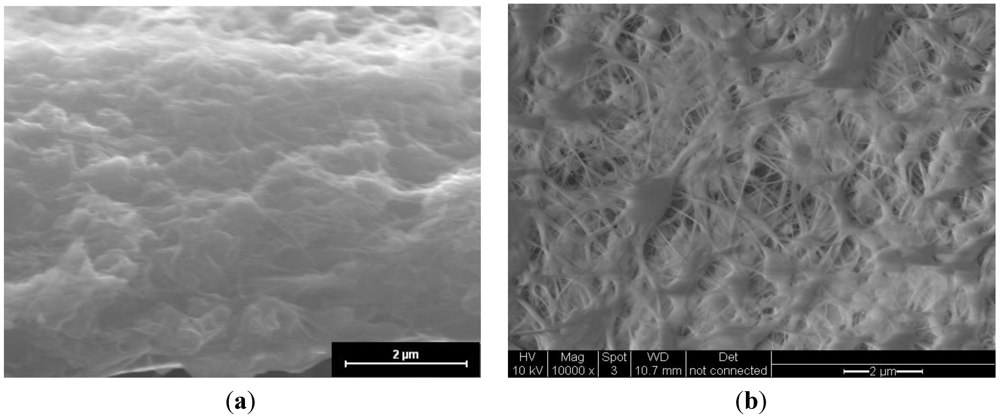 Membranes 02 00384 g001 1024