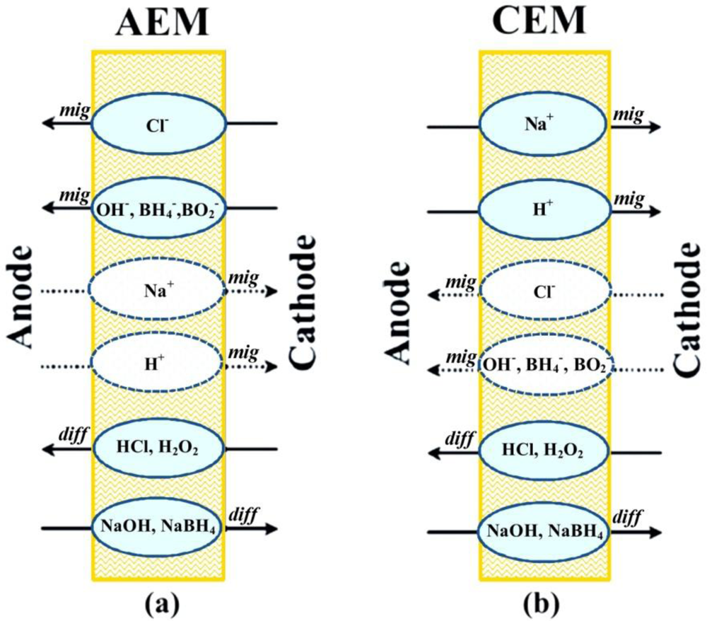 Membranes 02 00478 g001 1024