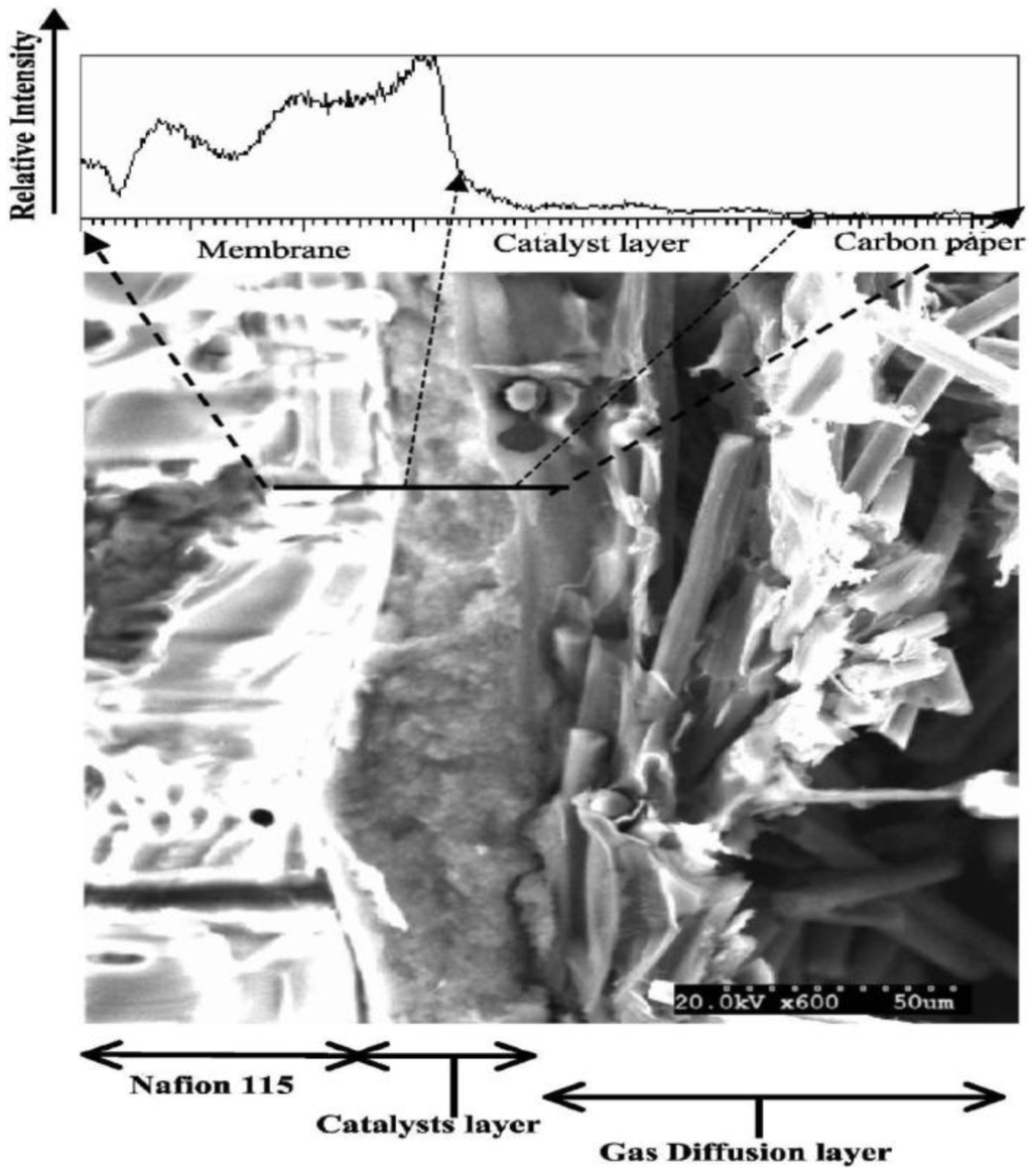 Membranes 02 00510 g005 1024