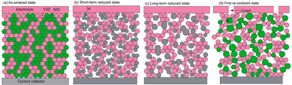 Membranes 02 00585 g001 1024
