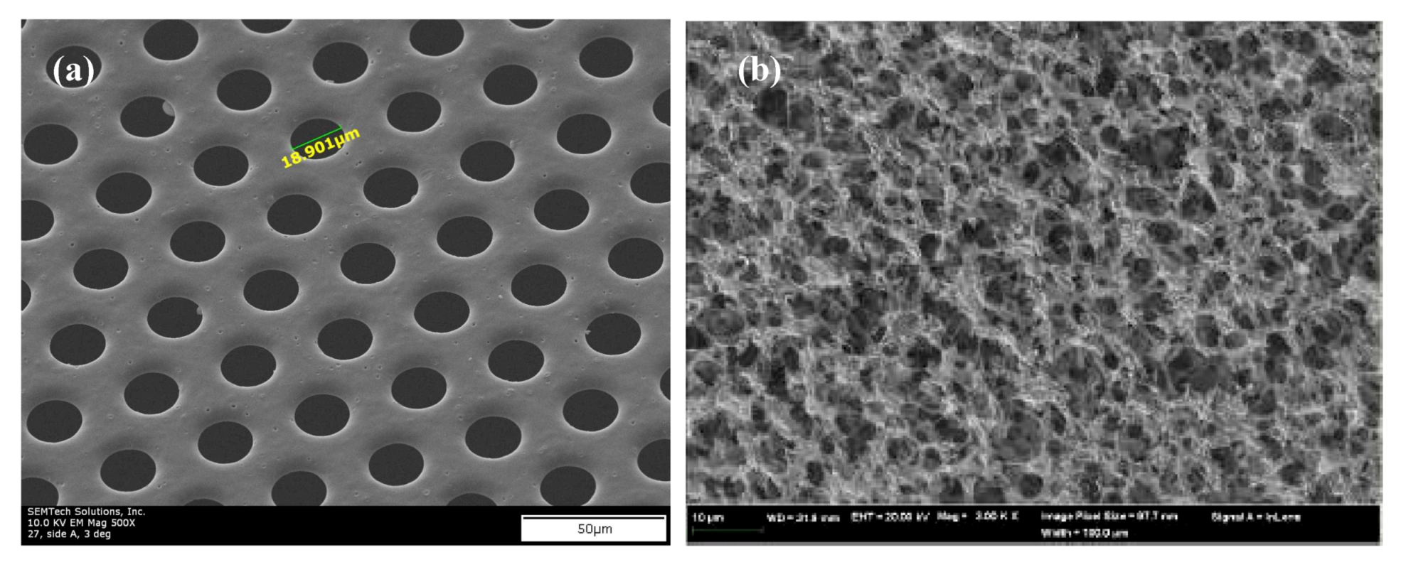 Membranes 02 00855 g007