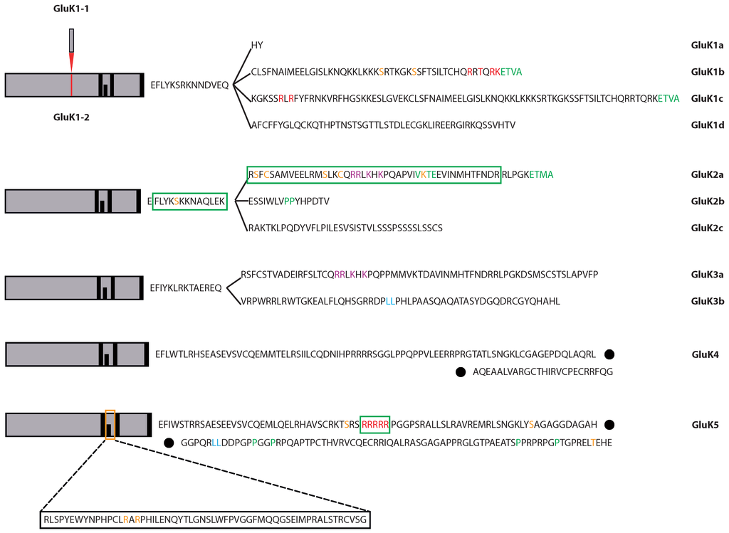 Membranes 04 00565 g001 1024