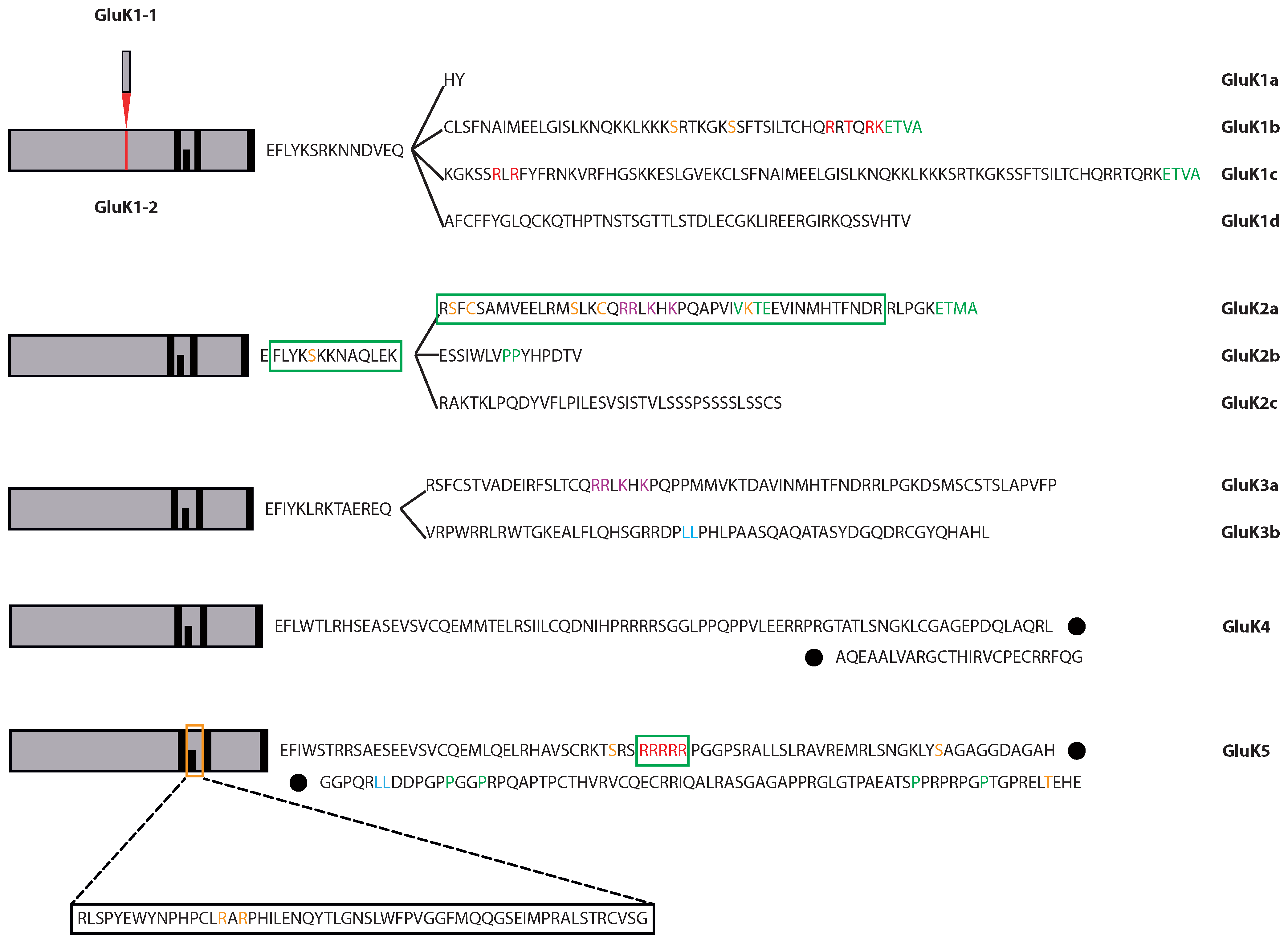 Membranes 04 00565 g001