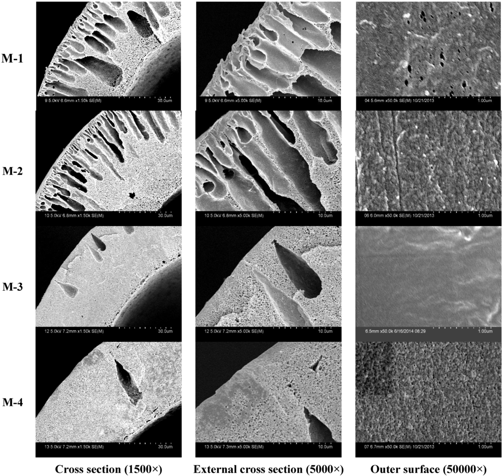 Membranes 05 00120 g002 1024