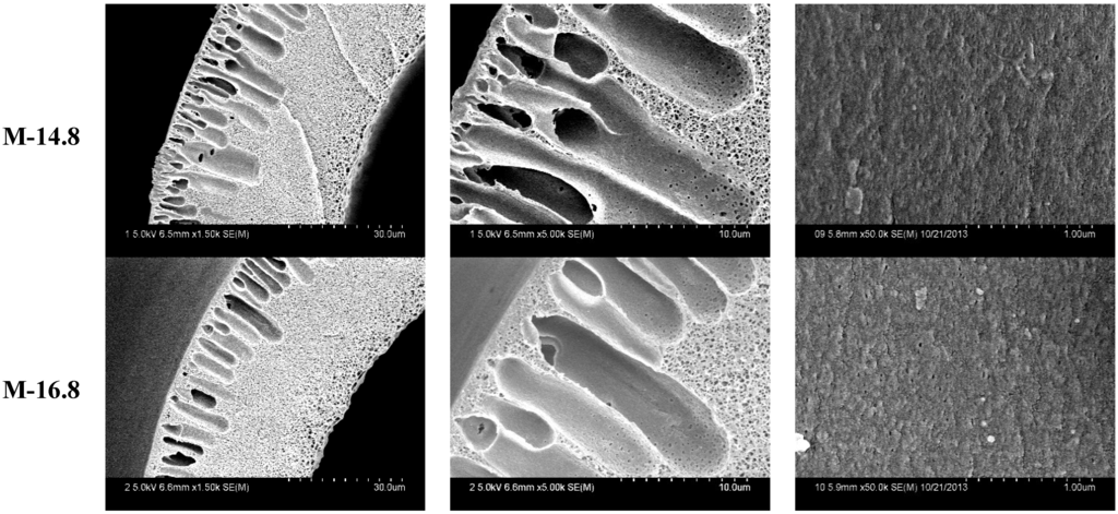 Membranes 05 00120 g004a 1024