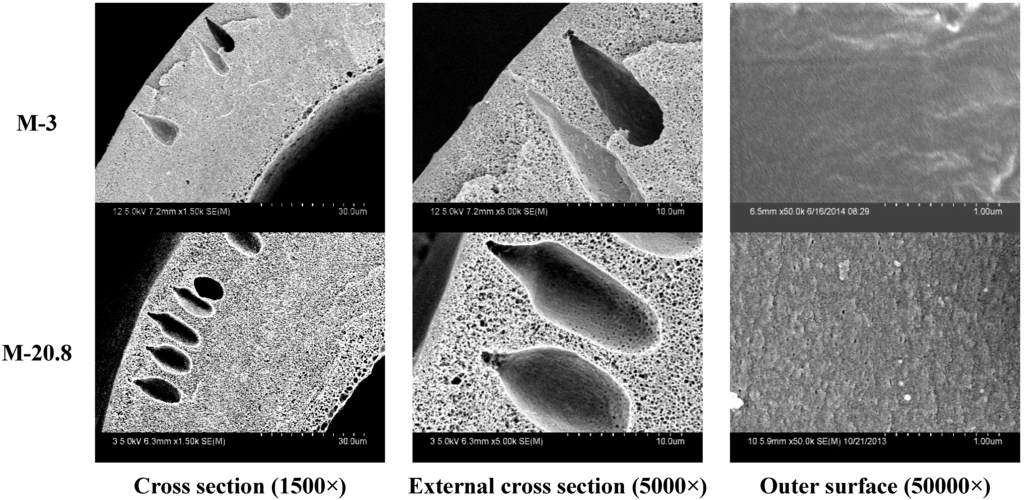 Membranes 05 00120 g004b 1024