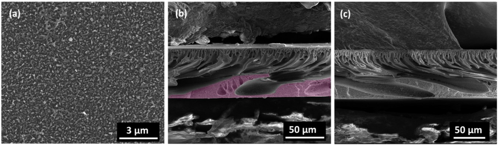 Membranes 05 00136 g005 1024