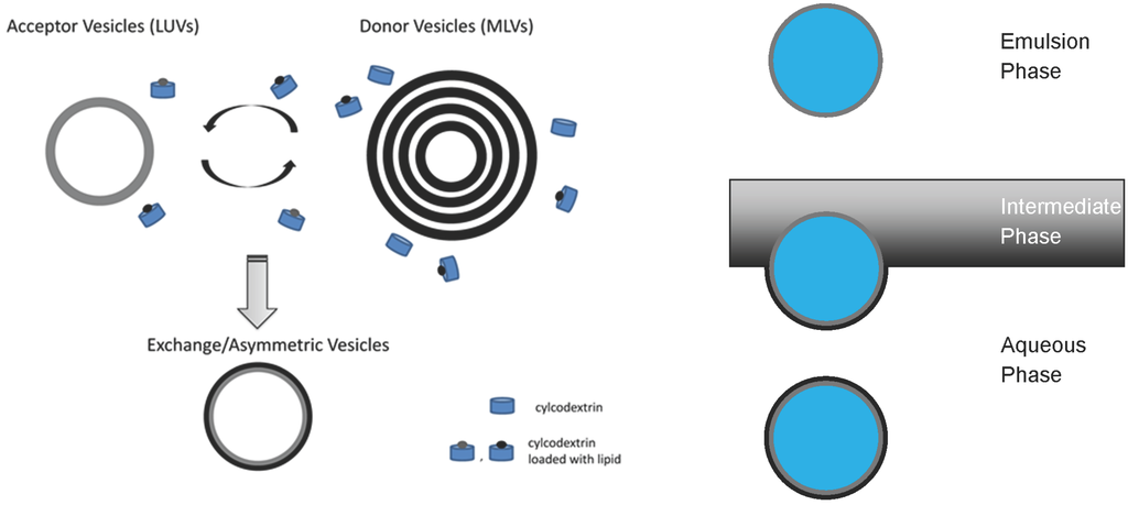Membranes 05 00180 g004 1024