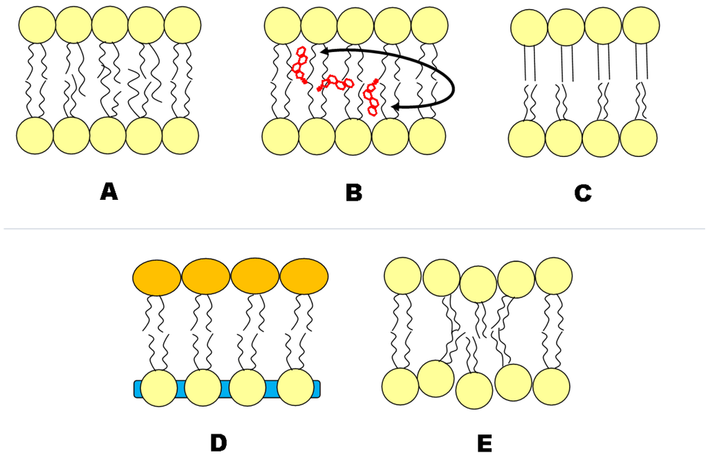 Membranes 05 00180 g005 1024