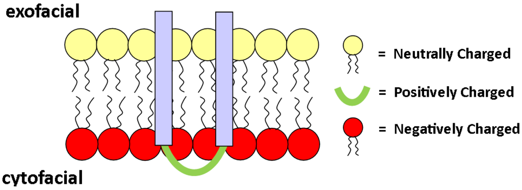 Membranes 05 00180 g007 1024