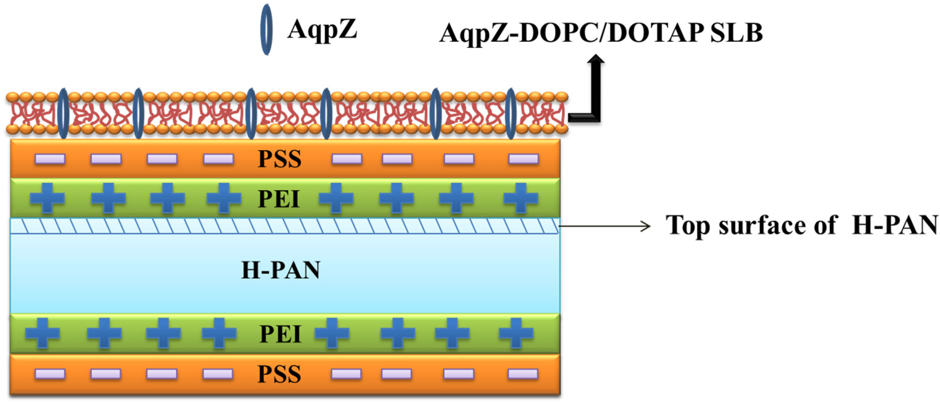 Membranes 05 00369 g001