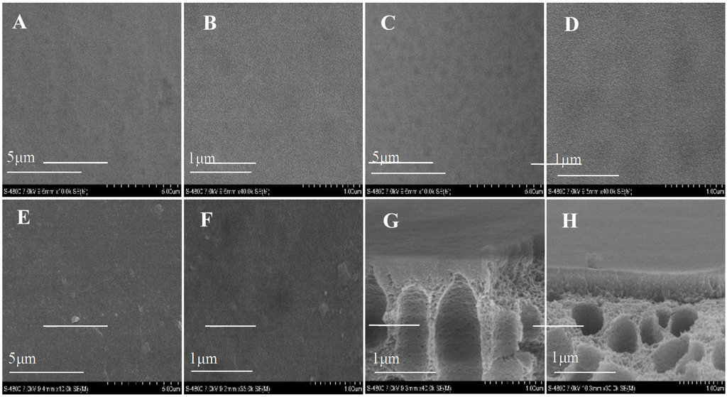 Membranes 05 00369 g004 1024