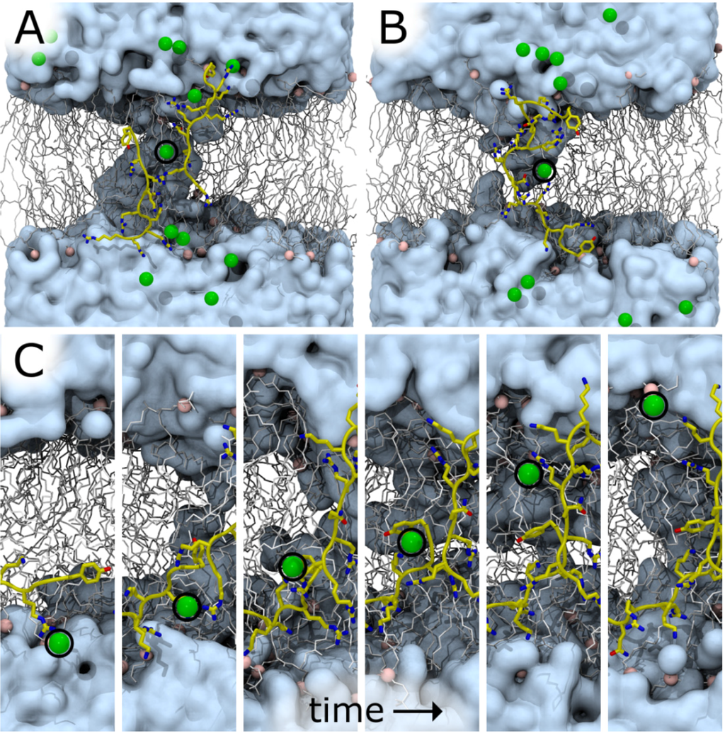 Membranes 05 00473 g009 1024
