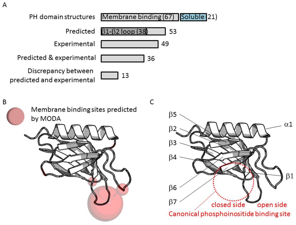 Membranes 05 00646 g004 1024
