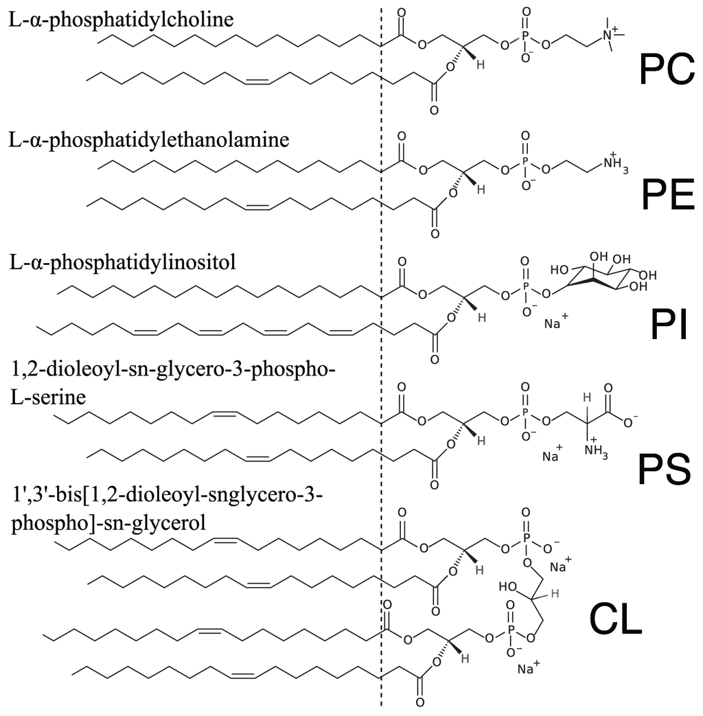 Membranes 05 00664 g001 1024