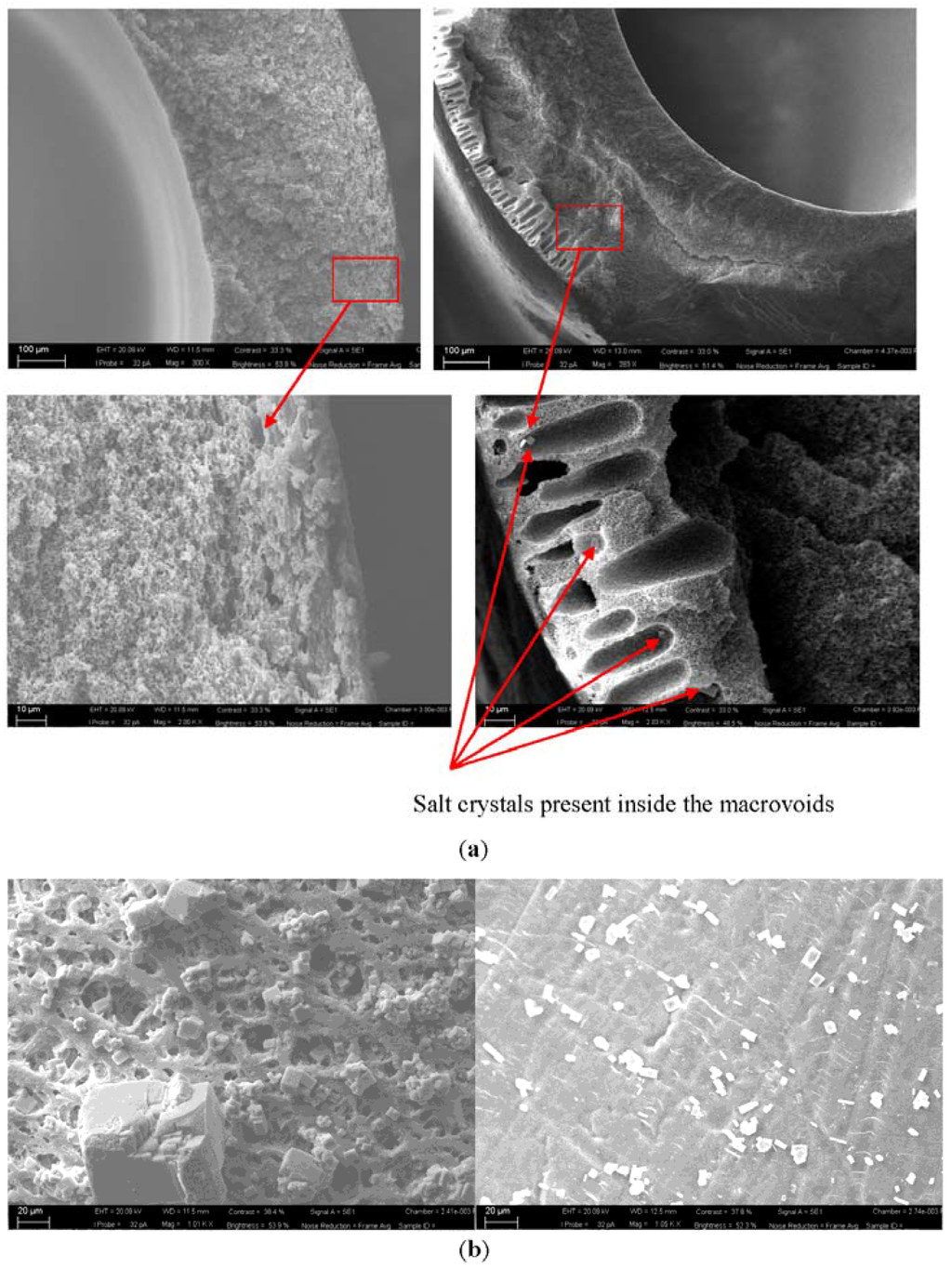 Membranes 05 00772 g013 1024