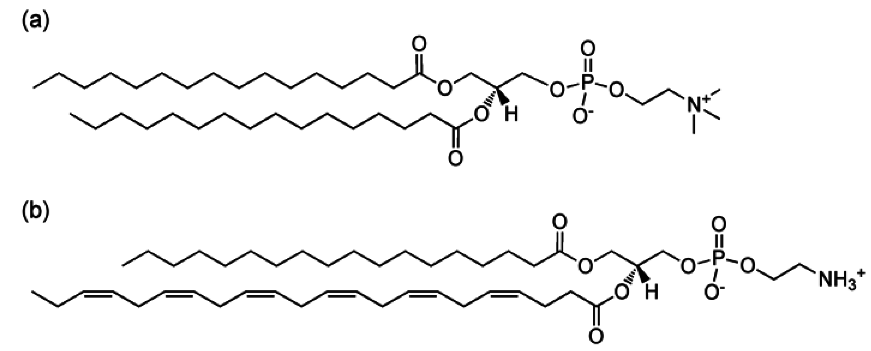 Membranes 05 00857 g001