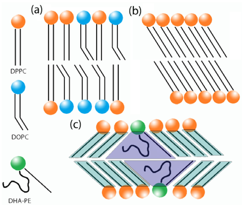 Membranes 05 00857 g006 1024