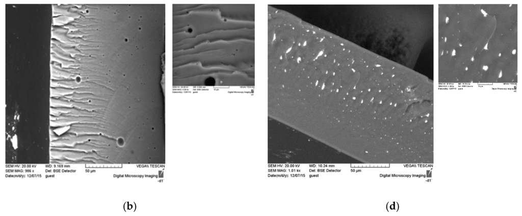 Membranes 06 00004 g005b 1024