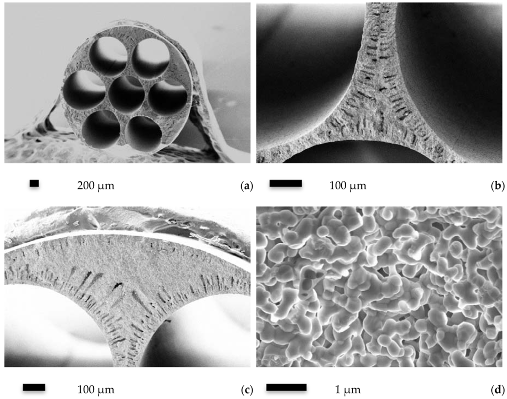 Membranes 06 00005 g001 1024