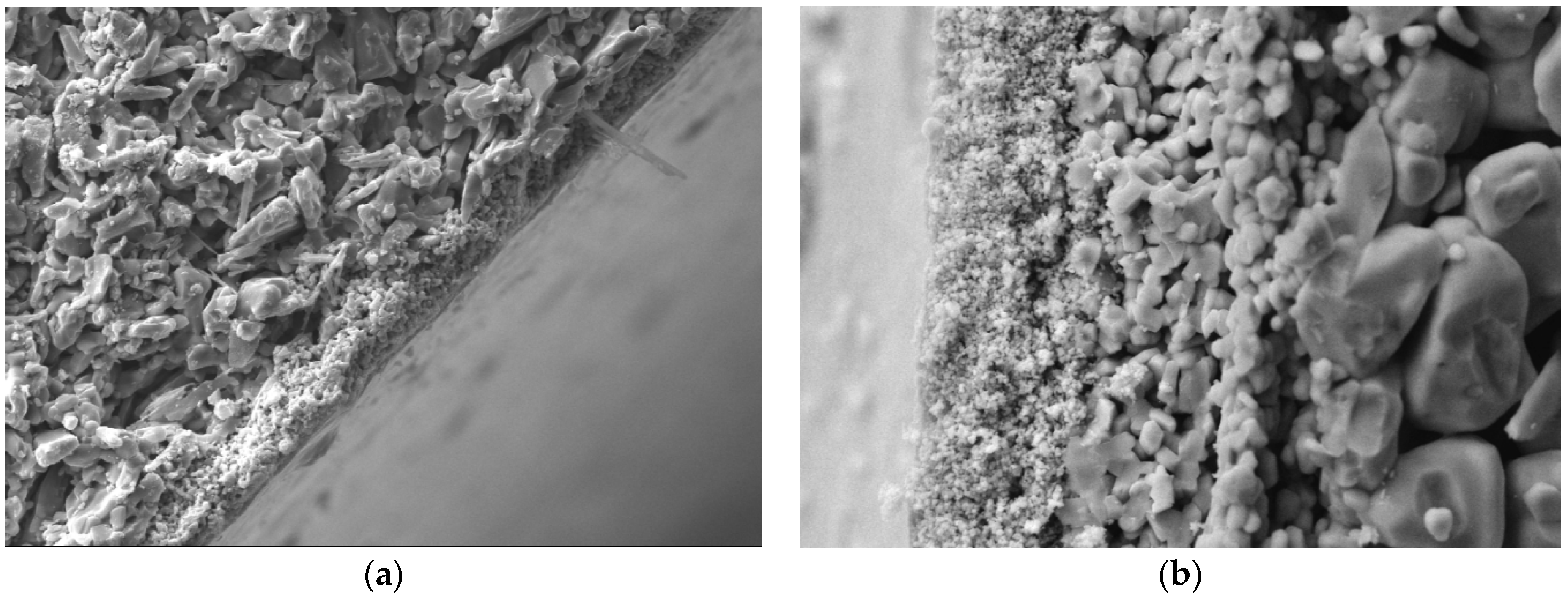 Membranes 06 00007 g002