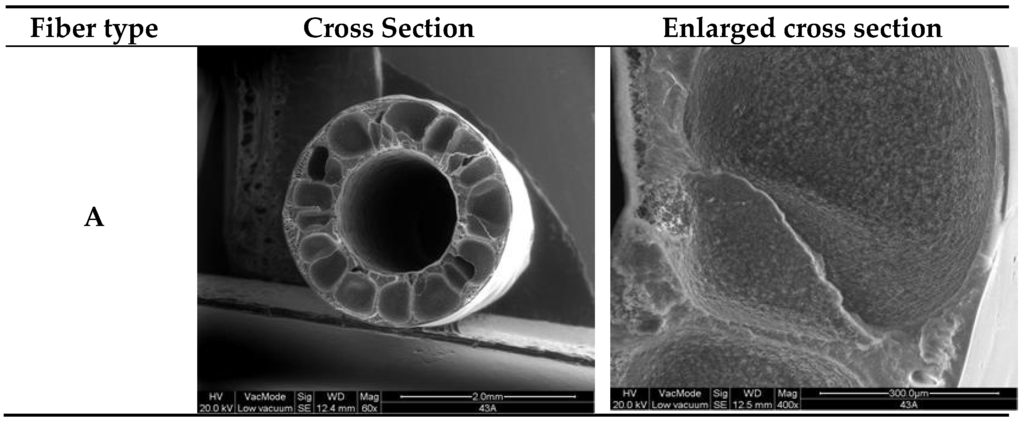 Membranes 06 00009 g001a 1024