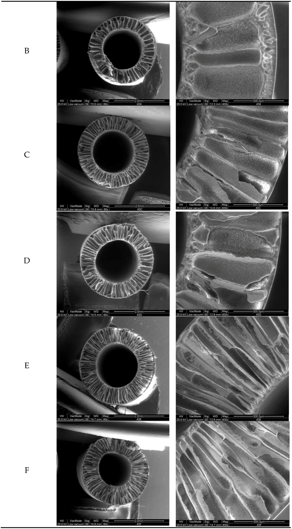 Membranes 06 00009 g001b 1024
