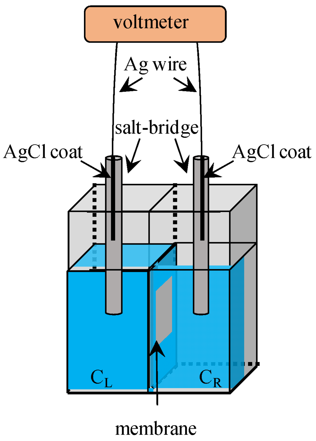 Membranes 06 00011 g002 1024