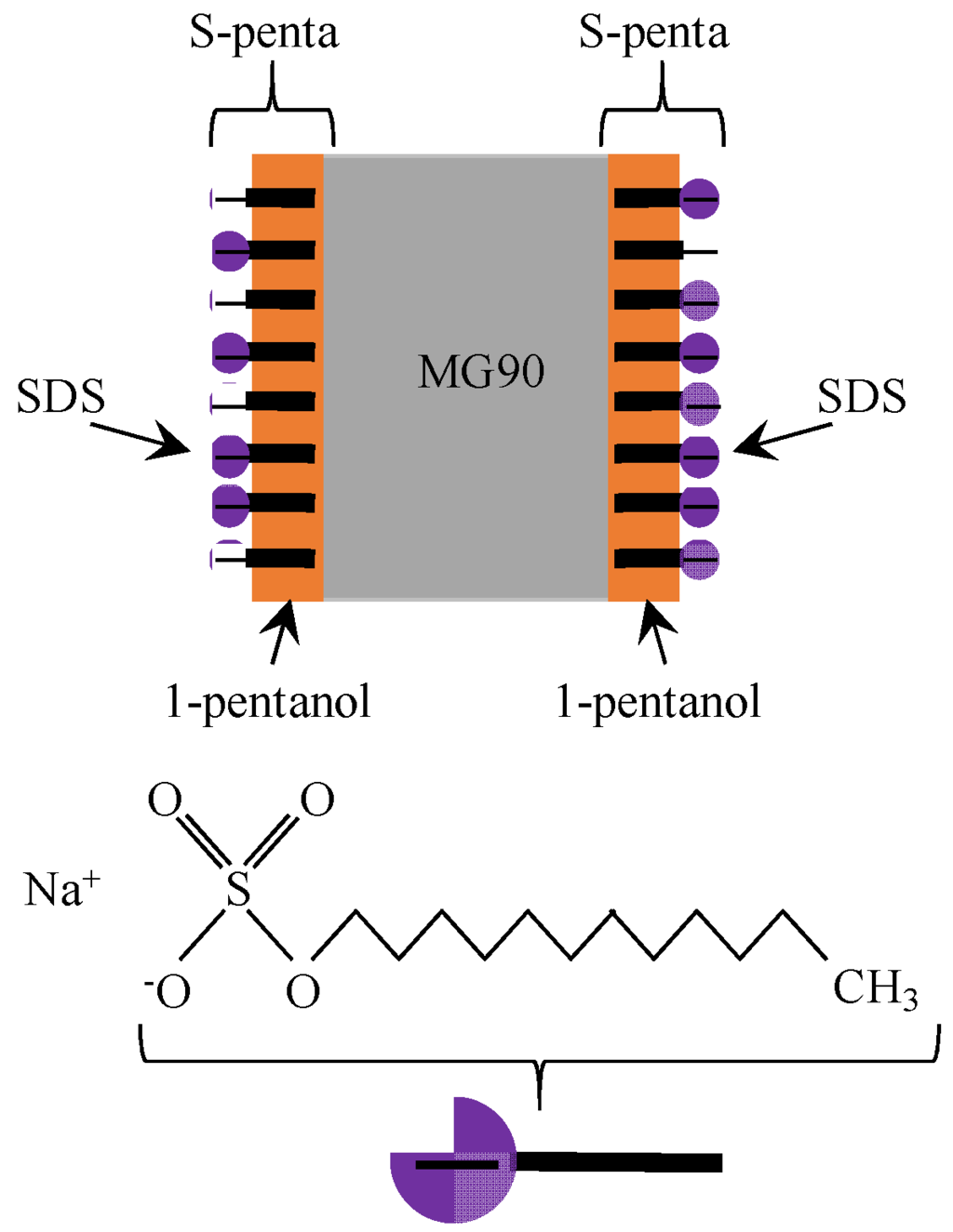 Membranes 06 00011 g004 1024
