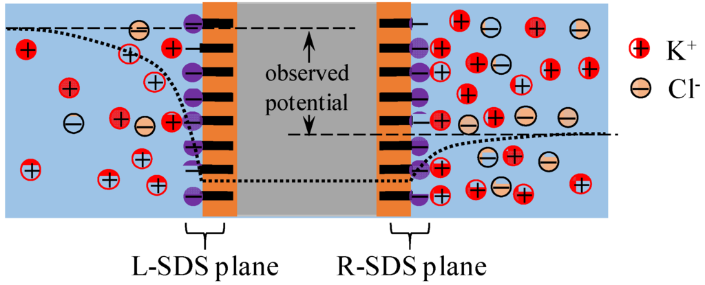 Membranes 06 00011 g011 1024