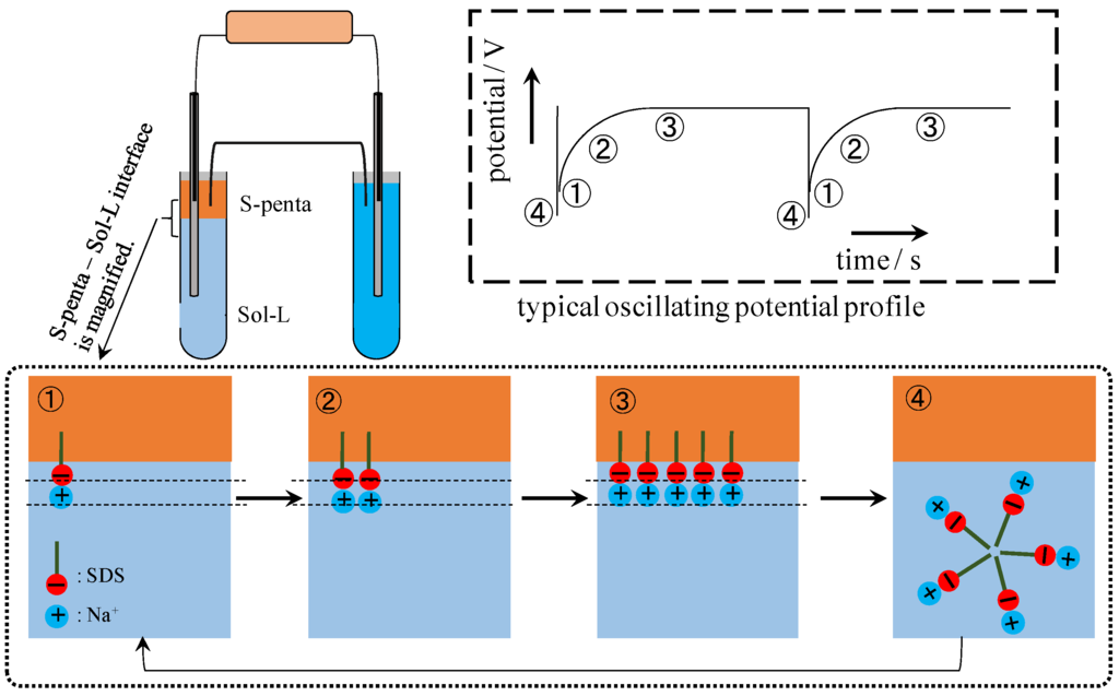 Membranes 06 00011 g012 1024