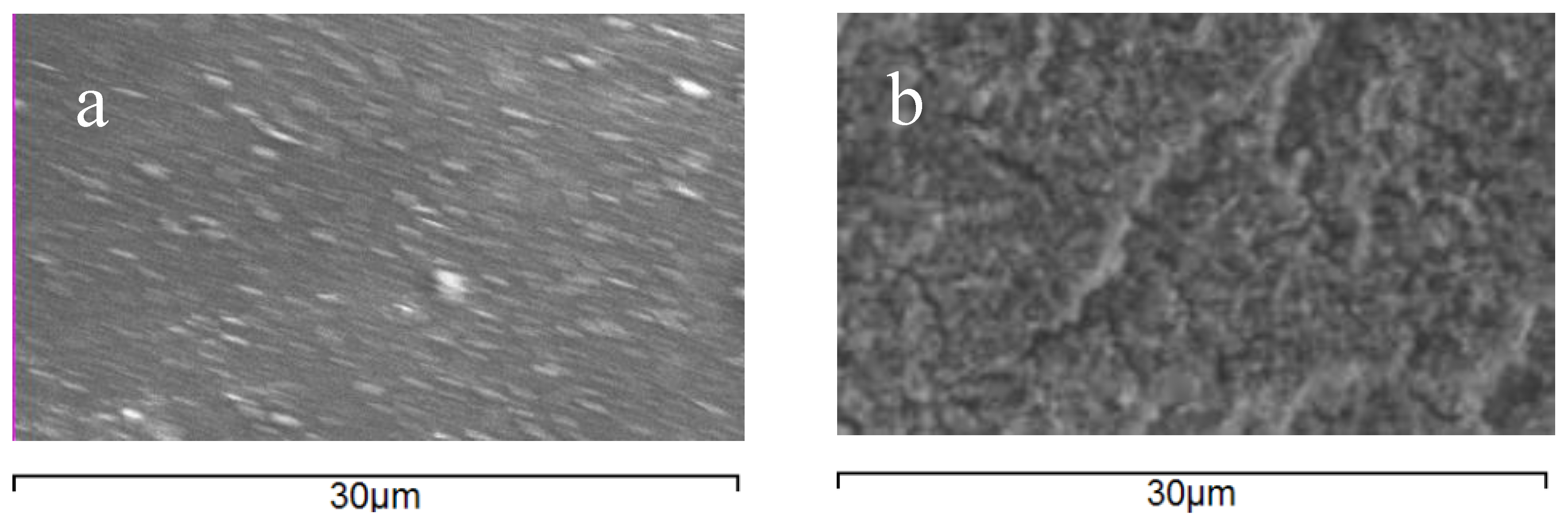 Membranes 06 00019 g005