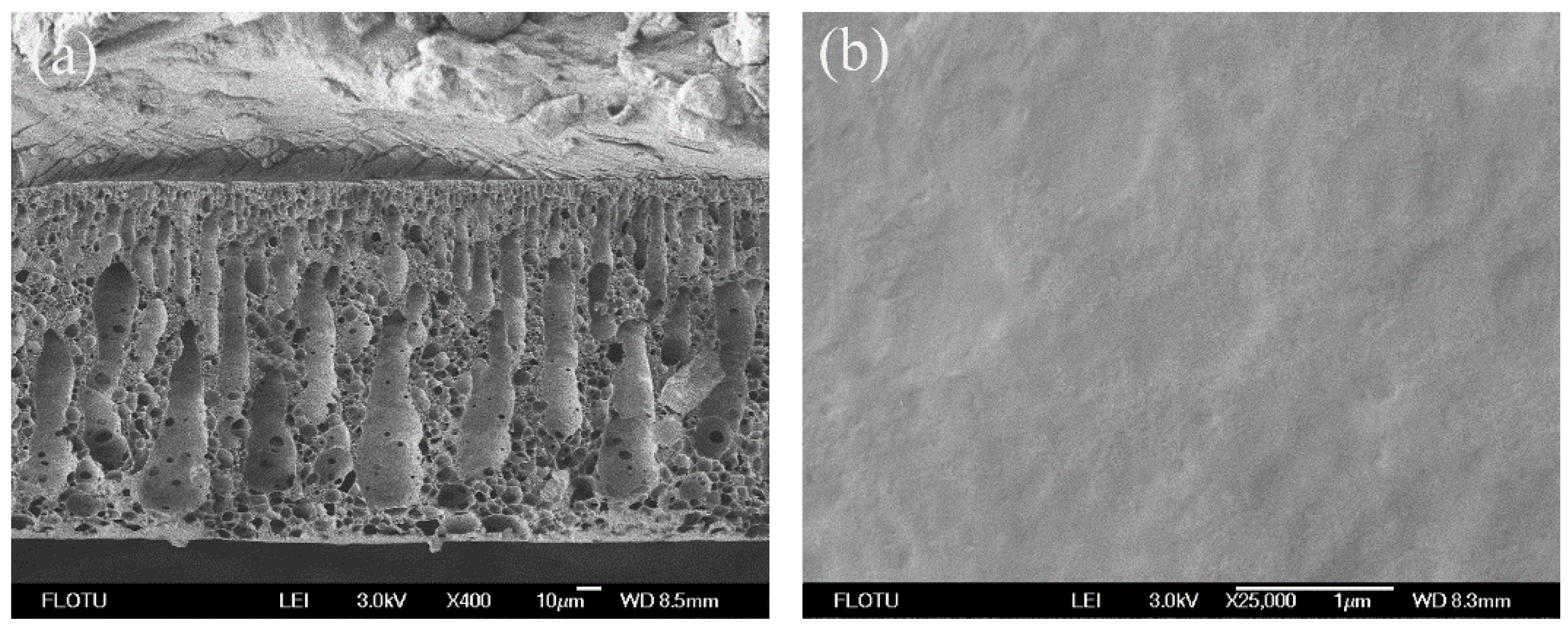 Membranes 06 00035 g002