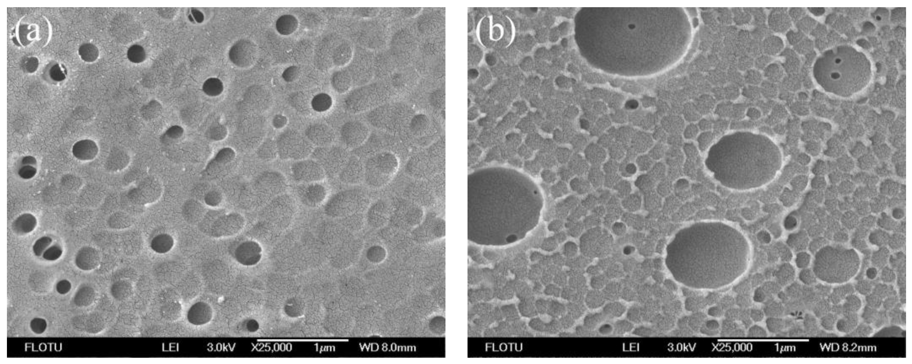 Membranes 06 00035 g003a
