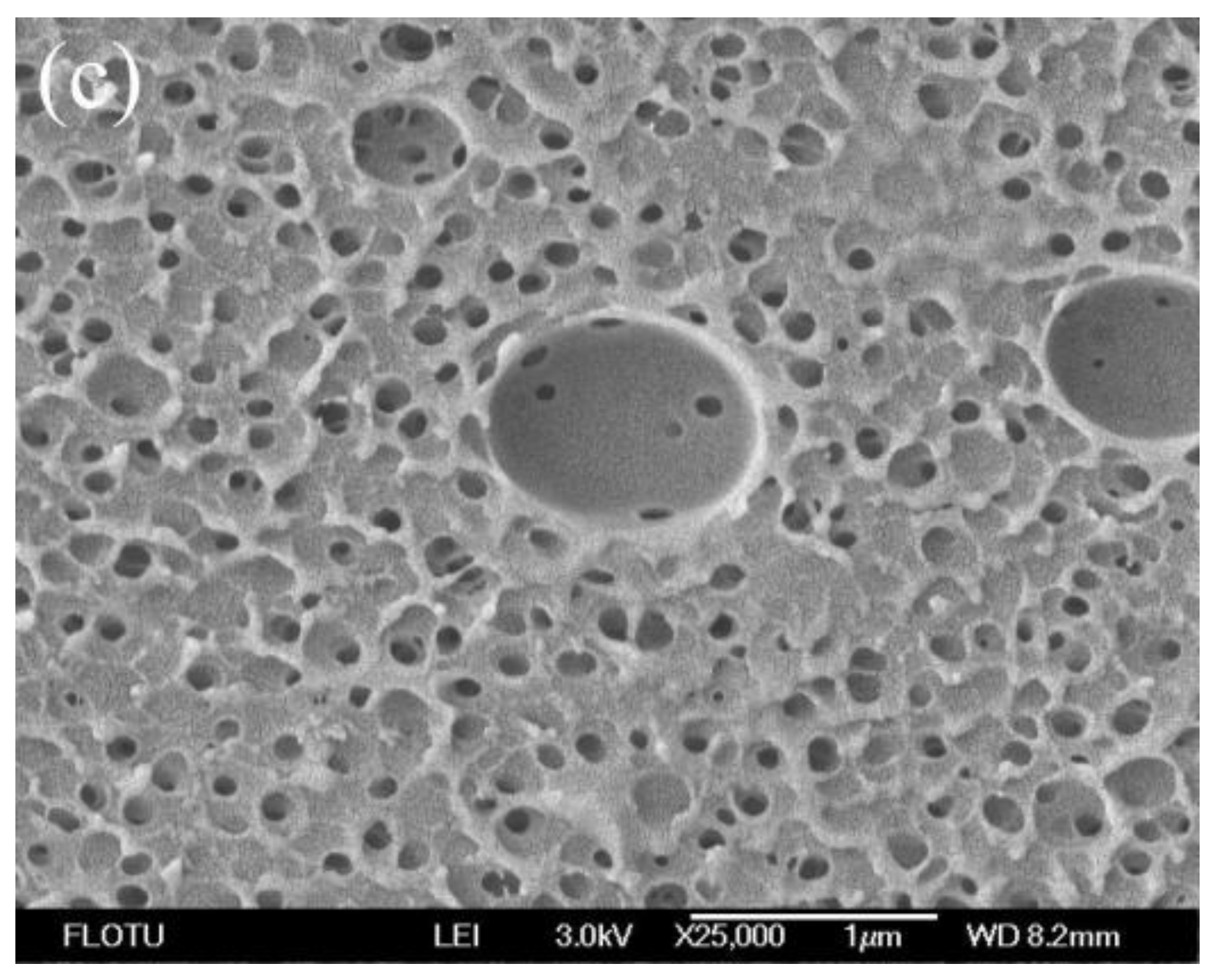 Membranes 06 00035 g003b