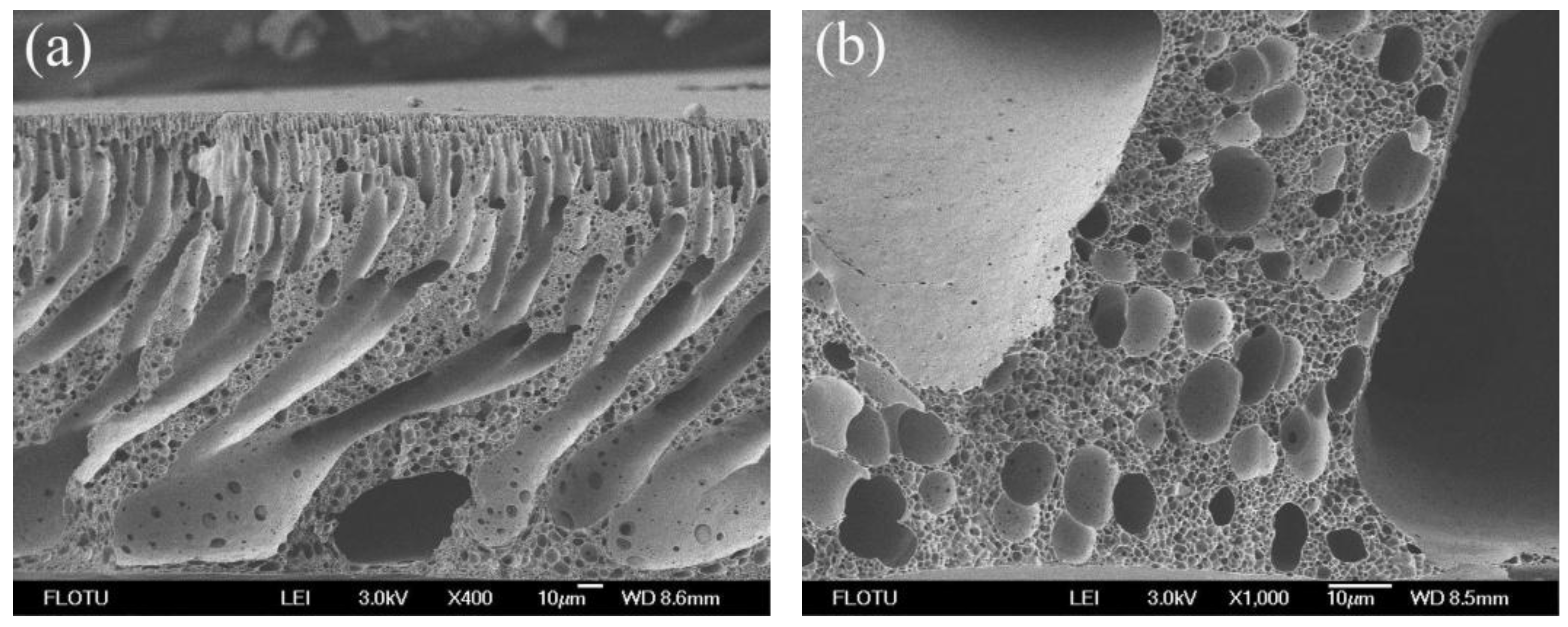 Membranes 06 00035 g005a