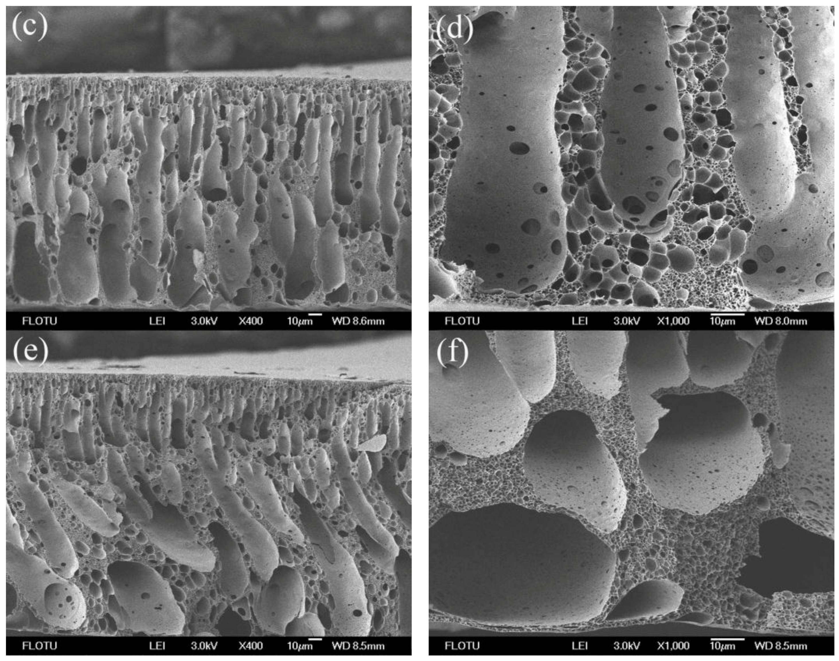 Membranes 06 00035 g005b
