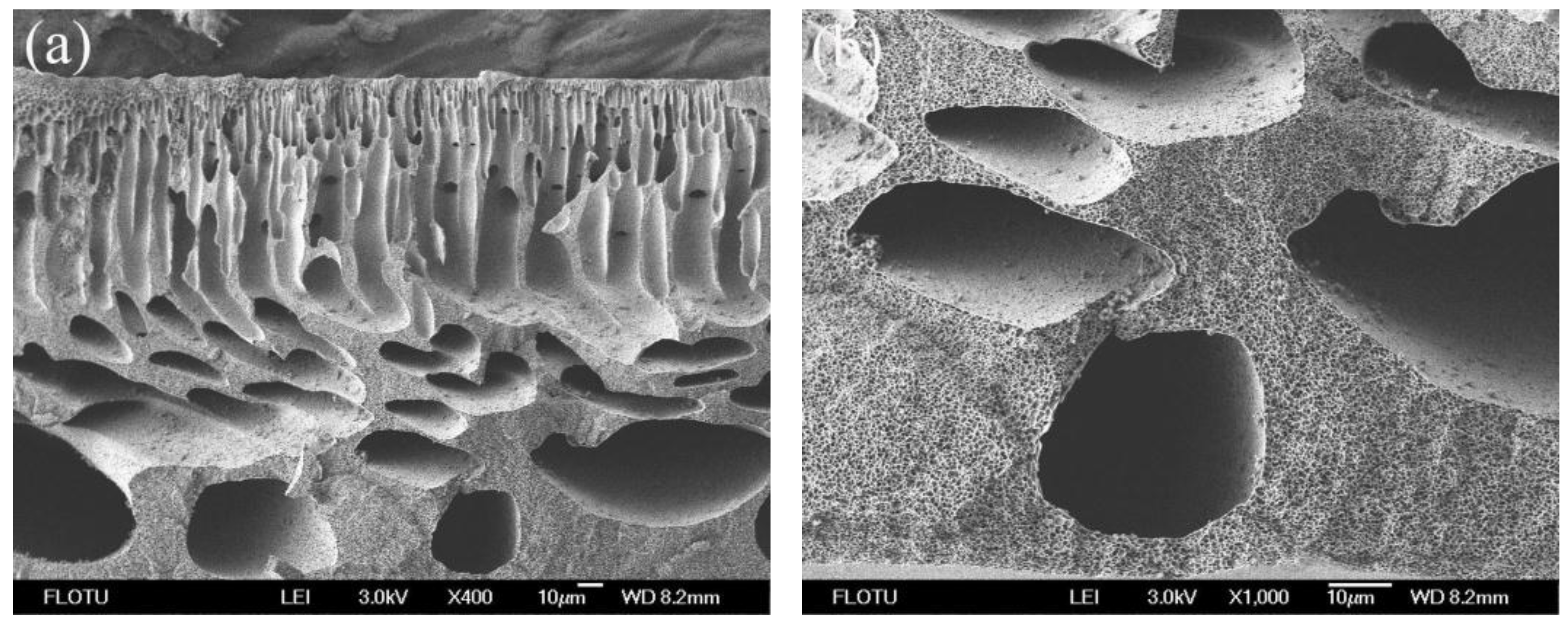 Membranes 06 00035 g006a